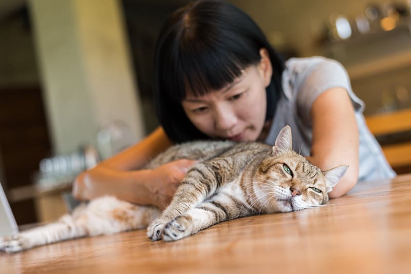 Home euthanasia for pets in London