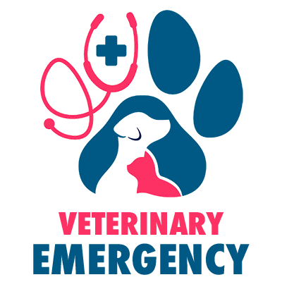 Vet Emergency London 24h/24